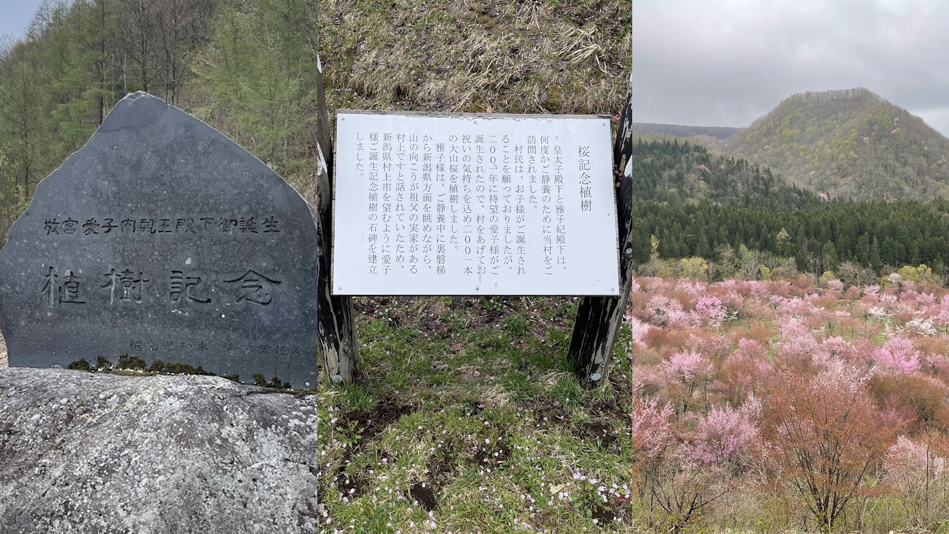 愛子さま、東北へ！（及び複雑な思い）