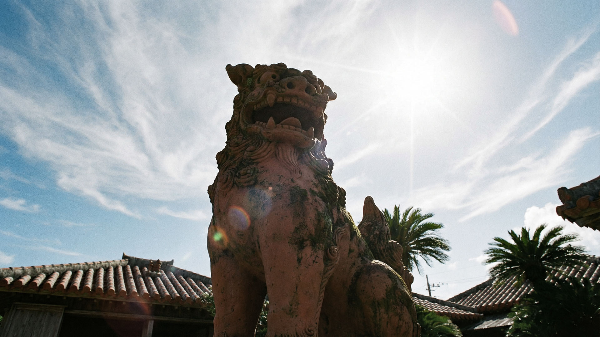 5/30 沖縄ライブから日本に熱風の渦を巻き起こす！